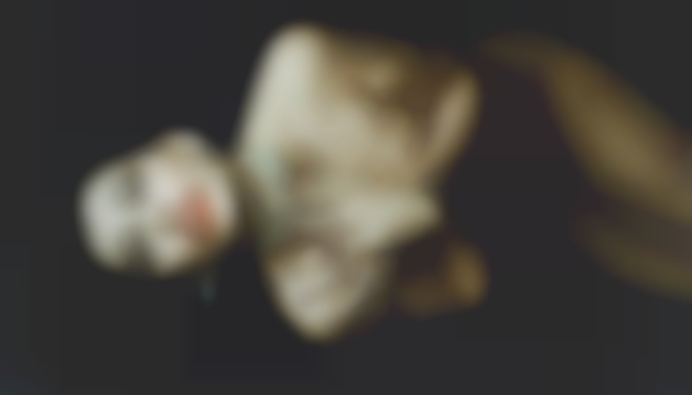 Comment choisir le bon service de rencontres vocales sans engagement ?